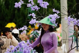 Une charmante enseignante avec des fleurs de poinciana violettes en papier combinées à un chapeau conique et un ao dai. Photo : Nguyen Dung – VNA