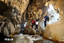 Une délégation d'experts de l'UNESCO a effectué du 6 au 9 juillet une visite sur le terrain. Photo : VNA