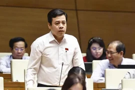 Le député Tran Anh Tuan, de Ho Chi Minh-Ville, lors de la séance dans la matinée du 11 novembre dans le cadre de la 8e session de la 15e législature de l’Assemblée nationale. Photo : VNA