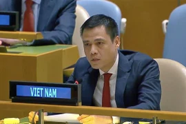 L'ambassadeur Dang Hoang Giang, chef de la Mission permanente du Vietnam auprès de l'ONU. Photo : VNA