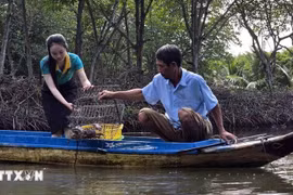 Une des activités touristiques de Ca Mau. Photo : VNA