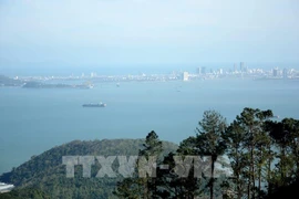 Le groupe indien Adani envisage d'investir 2 milliards de dollars au port maritime de Lien Chieu, à Da Nang. Photo : VNA