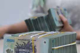 Selon les dernières données de la Banque d'État du Vietnam (SBV), à la fin du mois de juin 2024, le capital des banques privées était le double de celui des banques publiques. Photo : VNA