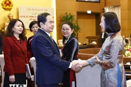 e président de l'AN rencontre les nouveaux ambassadeurs et les chefs des représentations à l'étranger. Photo : VNA