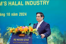 Le Premier ministre Pham Minh Chinh. Photo : VNA