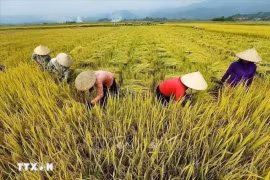 Photo d'illustration ; VNA