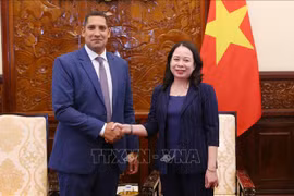 La vice-présidente Vo Thi Anh Xuan et l'ambassadeur de Suède Johan Ndisi. Photo : VNA