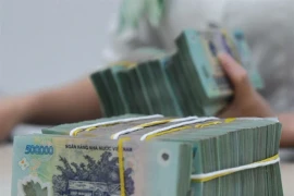 Selon les dernières données de la Banque d'État du Vietnam (SBV), à la fin du mois de juin 2024, le capital des banques privées était le double de celui des banques publiques. Photo : VNA