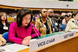 La vice-ministre du Travail, des Invalides et des Affaires sociales Nguyen Thi Ha. Photo : VNA