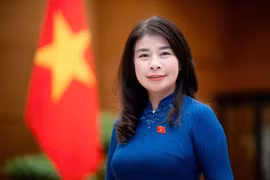 La vice-présidente de la Commission des Relations extérieures de l'Assemblée nationale, Lê Thu Ha. Photo: VNA