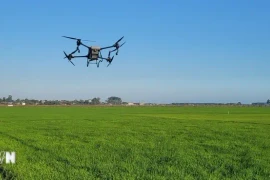  Le Vietnam encourage la transformation numérique dans l’agriculture