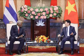 Entrevue entre le président Luong Cuong (droite) et le président de l'ANPP de Cuba Esteban Lazo Hernández. Photo: VNA