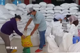 Plus d'un millier de tonnes de riz attribués à cinq localités. Photo: VNA