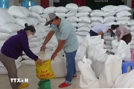 Plus d'un millier de tonnes de riz attribués à cinq localités. Photo: VNA