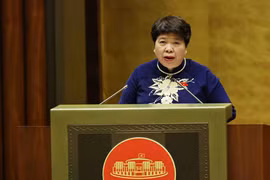 La présidente de la Commission des affaires sociales de l'Assemblée nationale, Nguyen Thuy Anh, présente un rapport lors de la séance de travail. Photo: VNA