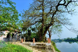 Phuoc Tich - le plus beau village antique de Huê