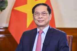 Le vice-Premier ministre et ministre des Affaires étrangères Bui Thanh Son. Photo: VNA