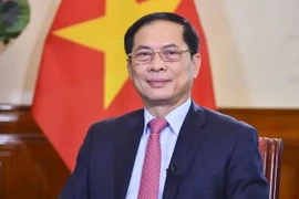 Le vice-Premier ministre et ministre des Affaires étrangères Bui Thanh Son. Photo: VNA