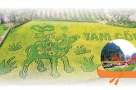 Couleur dorée de Tam Coc - Trang An