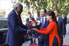Le président de l'AN vietnamienne Tran Thanh Man accueille le président de l'ANPP de Cuba Esteban Lazo Hernández (gauche). VNA