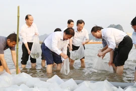Des dirigeants provinciaux participent à la régénération des ressources aquatiques le 31 mars 2024. Photo: baoquangninh.vn