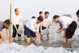 Des dirigeants provinciaux participent à la régénération des ressources aquatiques le 31 mars 2024. Photo: baoquangninh.vn