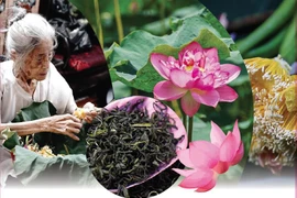 L’artisanat de fabrication du thé au lotus de Quang An classé au patrimoine