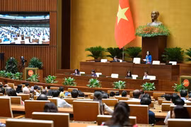 Des questions sont discutées dans la salle dans une atmosphère démocratique. Photo: VNA
