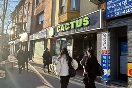 Le magasin de Cactus à Toronto. 