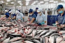 Exportations de 3,6 milliards de dollars de produits aquatiques en cinq mois. Photo: VNA