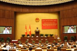 Le président de l'Assemblée nationale Trân Thanh Mân prend la parole lors du colloque. Photo: VNA