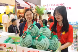 Le pamplemousse à peau verte du Vietnam présenté au salon. Photo: VNA
