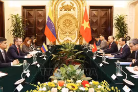 Le ministre des Affaires étrangères (AE) Bui Thanh Son s'entretient le 8 juin à Hanoï avec son homologue vénézuélien Yván Gil Pinto. Photo: VNA