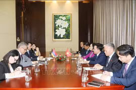 Panorama de la rencontre. Photo: VNA