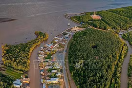 La région du Cap Ca Mau vue d'en haut. Photo: VNA