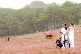  Da Lat: Festival des herbes roses au pied de la montagne de Lang Biang