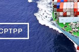 Le Canada et l’Amérique latine ouvrent leurs portes aux produits vietnamiens