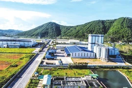 Investissement: la région septentrionale du Centre de plus en plus attractive pour les Viet kieu