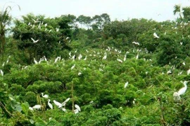 Le jardin des oiseaux de la ville de Ca Mau