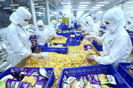 Le Vietnam bénéficie de nombreuses exportations avantageuses vers la Roumanie