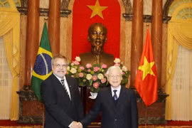 Le SG du Parti communiste et président Nguyên Phu Trong reçoit de nouveaux ambassadeurs étrangers