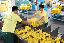 Exportation de près de 1,4 million de tonnes de caoutchouc en 11 mois
