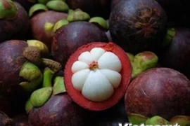 Exportations de fruits et légumes en hausse de 0,13% en sept mois 