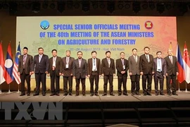 Ouverture de la réunion des hauts officiels du secteur agro-sylvicole de l’ASEAN