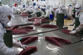 Le Canada, marché cible pour la filière thon du Vietnam