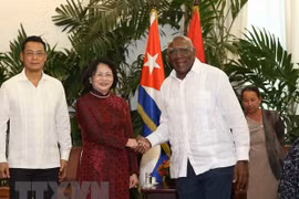 Promotion des relations de solidarité fraternelle Vietnam-Cuba