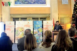 Journées de la culture vietnamienne en Turquie