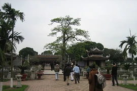 Hai Duong: destinations historiques officiellement nommées sites de reliques nationales