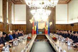 Vietnam-Roumanie : entretien entre les deux Premiers ministres