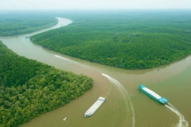 Ho Chi Minh-Ville s’emploie à faire de Can Gio une ville touristique côtière